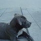 2 meses y medio